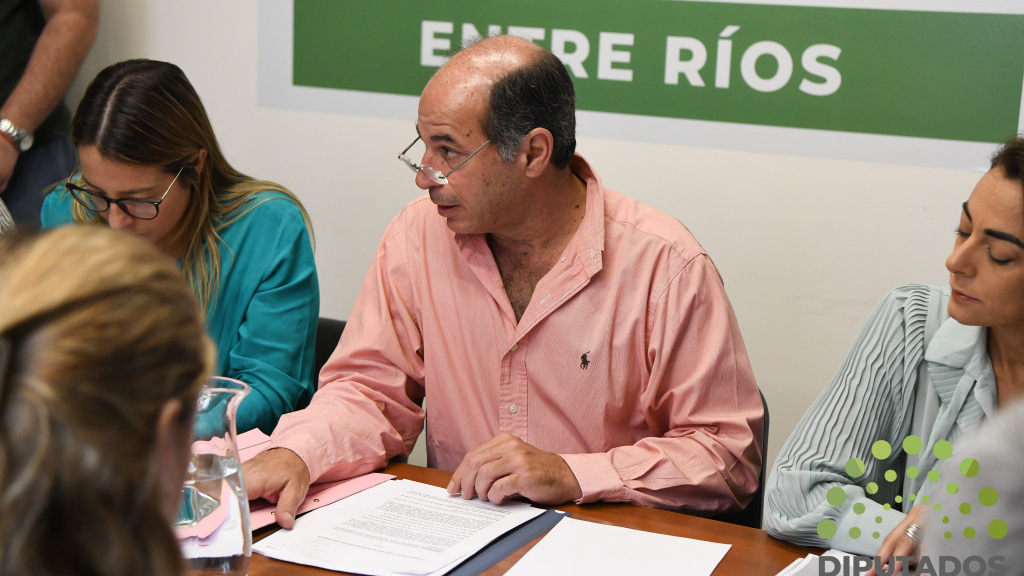 Donación de inmuebles a El Pingo