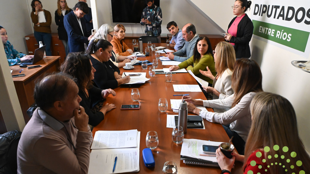 Discusión sobre los jueces de Paz