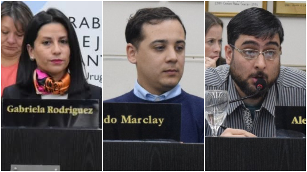 Rodríguez, Marclay y Dus, los concejales que votaron contra el apoyo a las personas con discapacidad
