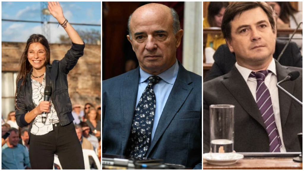 Los entrerrianos que votaron contra la Discapacidad: Ballejos, Benedit y Morchio