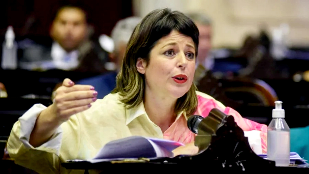 Gaillard cuestionó los anuncios de Milei: 