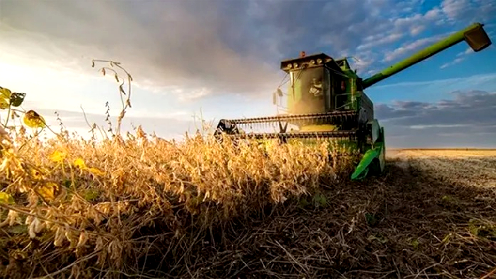 Entre Ríos: la industria de la soja y de la carne aviar cayó en un año