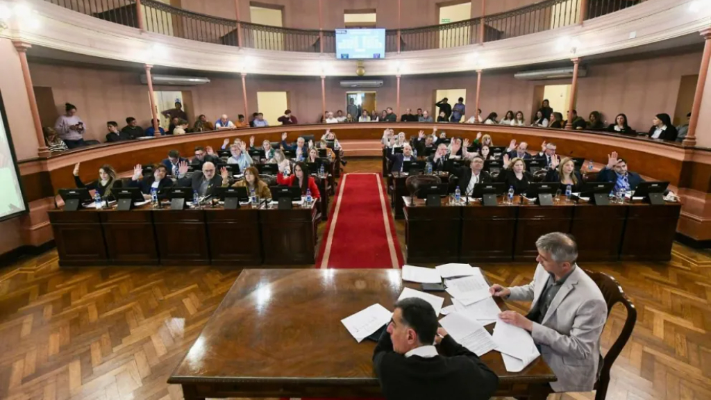 Presupuesto con media sanción