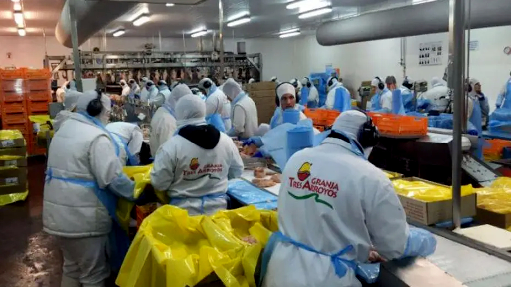 “Dueña del negocio de los pollos, en crisis” 