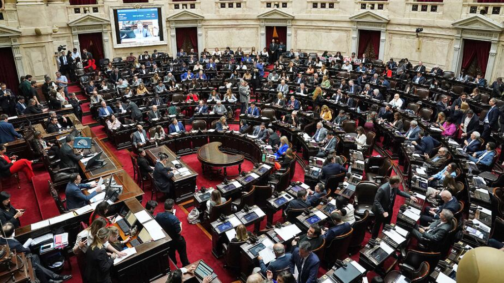 El Financiamiento Universitario y la Emergencia Pediátrica se salvaron