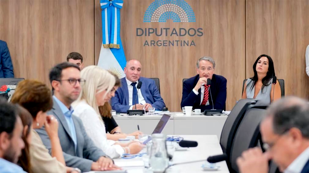 Audiencia por Ley de Glaciares