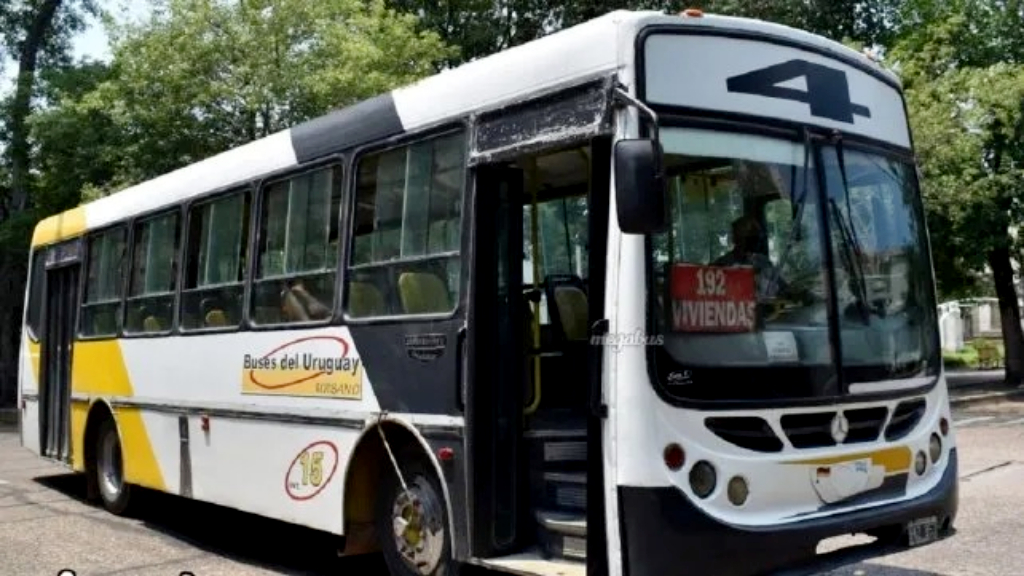 La Histórica sigue sin transporte urbano