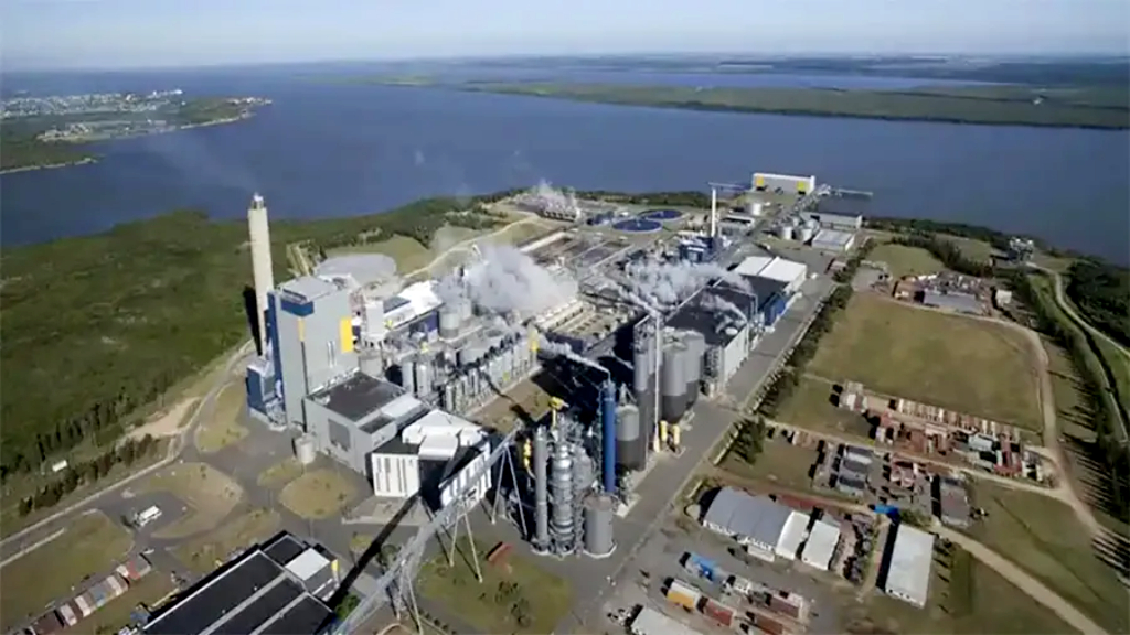 El río Uruguay bajo amenaza: empresas extranjeras, controles vaciados y una CARU sin dientes