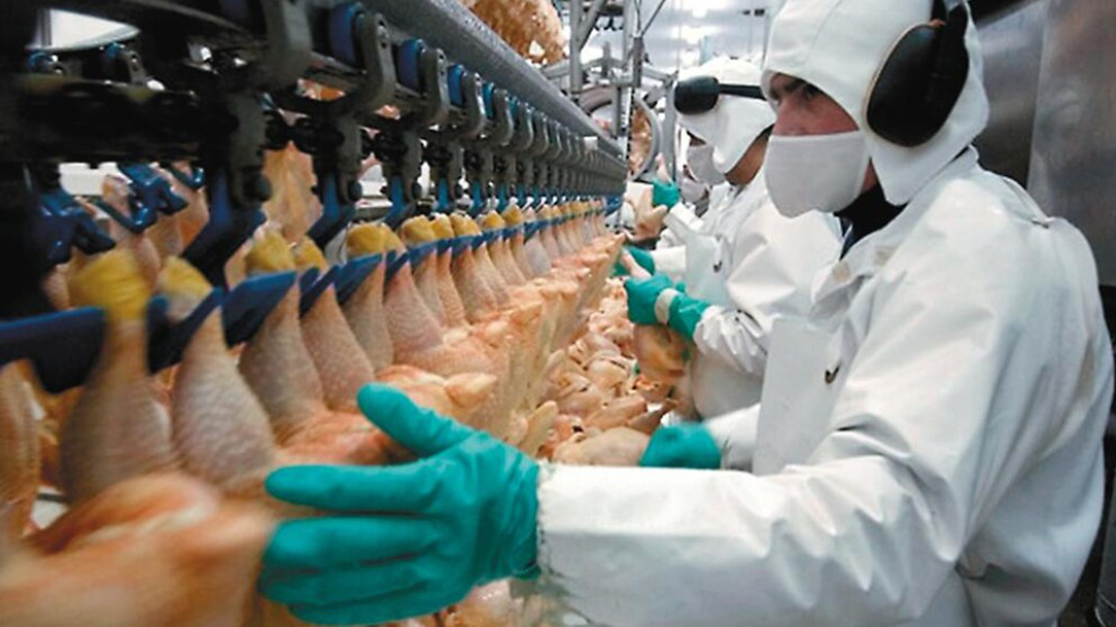 Riesgo para la industria avícola entrerriana con las importaciones