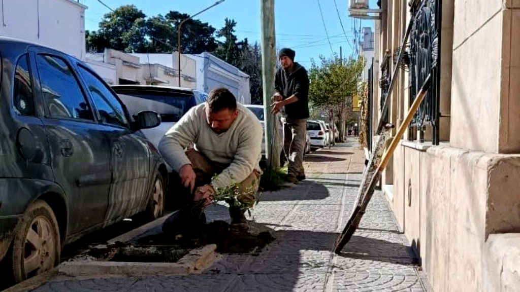 Avanza el plan para sumar 300 árboles en distintos barrios
