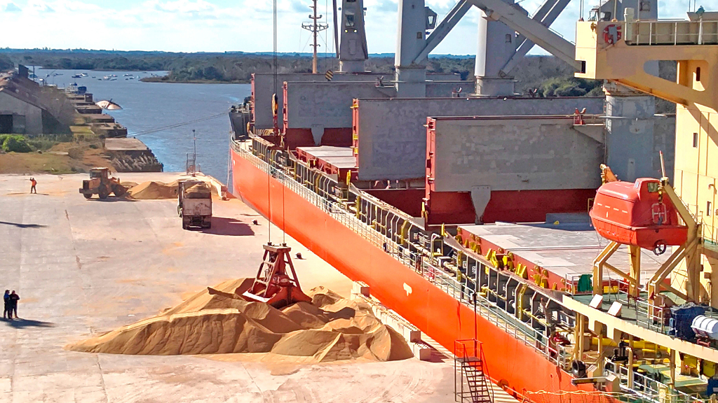 Concretan la primera exportación de soja no modificada genéticamente 