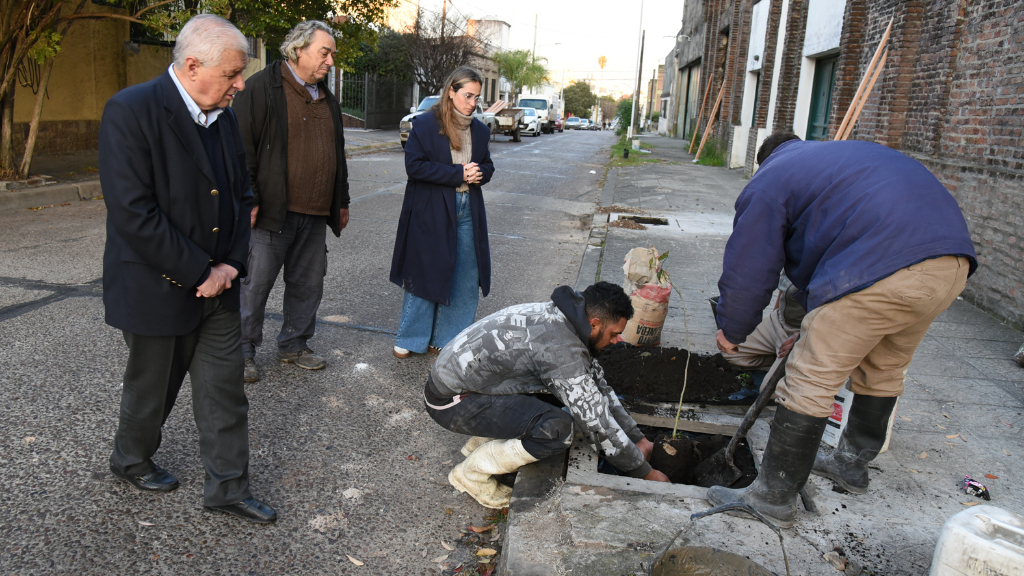 Nueva instancia en la plantación de 100 árboles