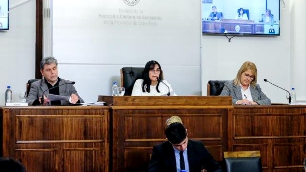 Reglamentaron el artículo 60 de la Constitución Provincial