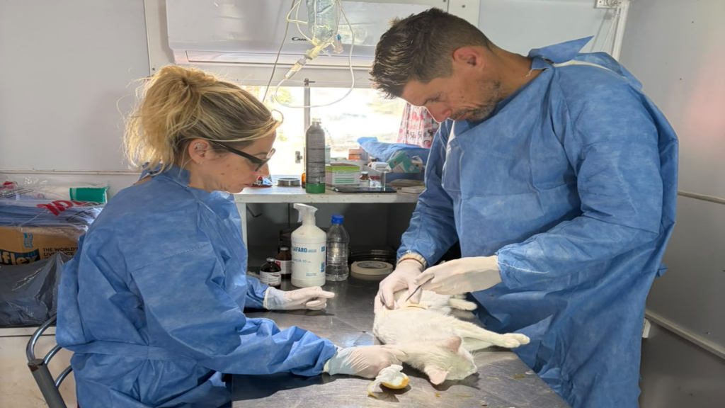 Sanidad Animal: Castramóvil y en el Centro Antirrábico