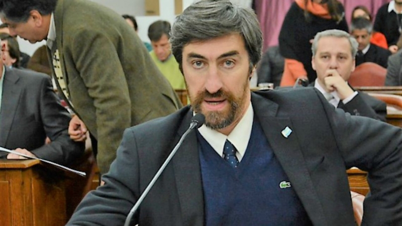 Giano dijo que en el Senado pausaron la reforma electoral a la espera de lo que suceda en Diputados