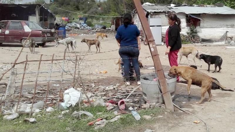 Bloqueo sanitario ante probable caso  de leptospirosis