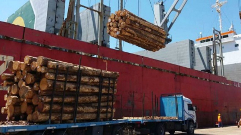 En diciembre continuará la exportación de madera y arroz