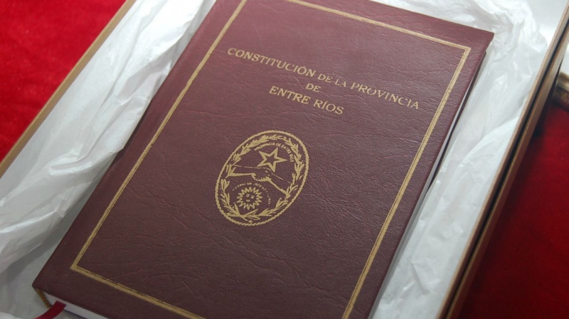 Lo qué dice el artículo de la Constitución provincial en el que se basa la igualdad de género