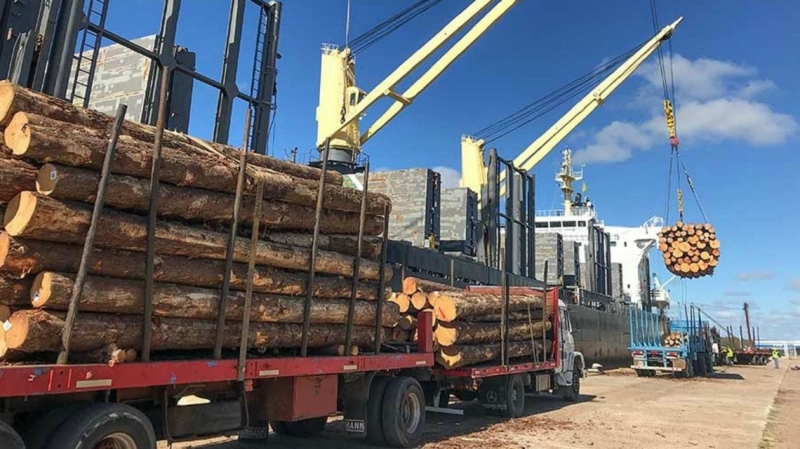 Bajo protocolos, el puerto volvió a funcionar con otro buque