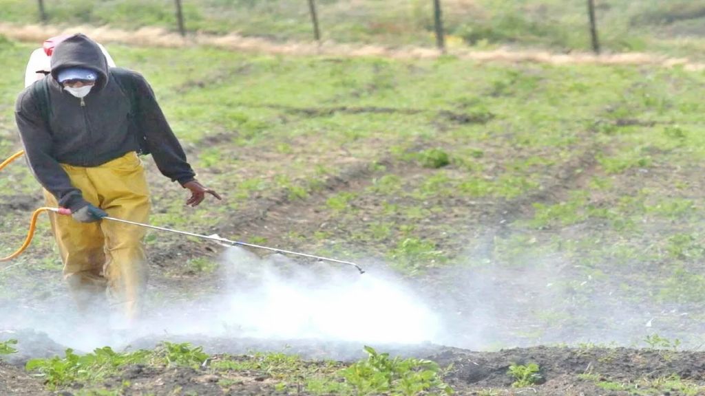 Giano afirmó que Entre Ríos “es la única provincia que no tiene ley de agroquímicos”