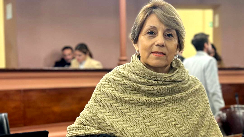 “La Libertad Avanza no tiene base sólida, es un fanatismo que está de moda y va a desaparecer”
