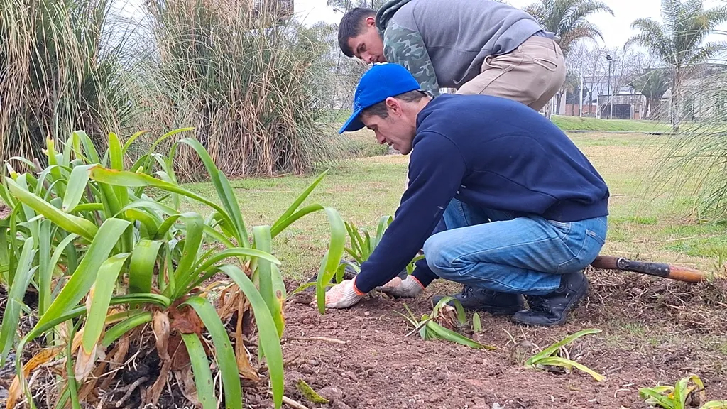 Trabajos de jardinería