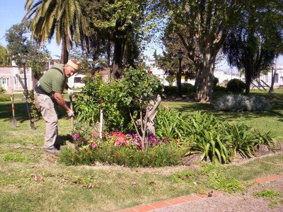 Trabajos de parquizado en la plaza principal