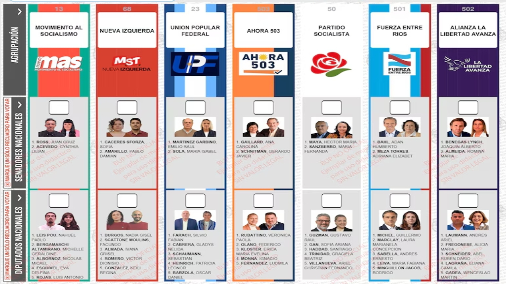 Boleta Única de Papel