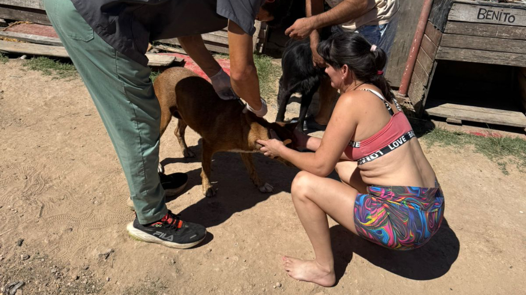 El Castramóvil comenzará a atender en el barrio Ex Circuito Mena