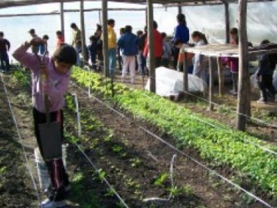 Comenzó la inscripción para la Escuela Granja