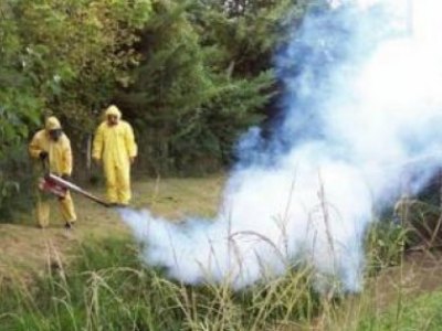 Comenzaron a fumigarse distintas zonas de la ciudad