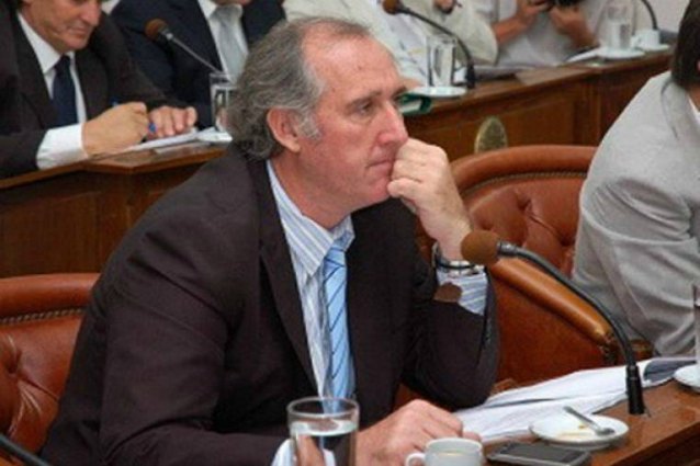 Natalio Gerdau, senador provincial por el FJpV