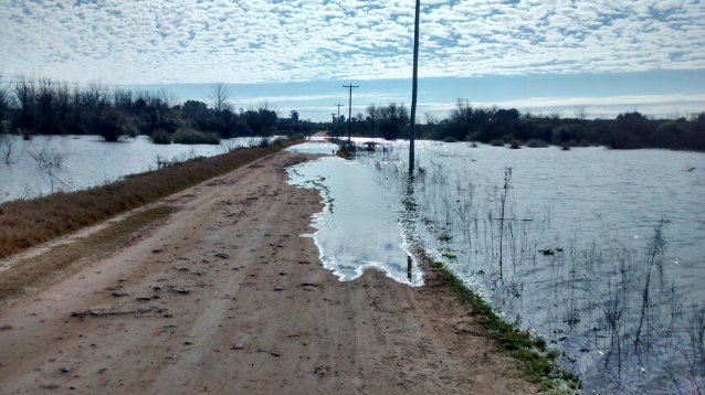 Preventivamente, en Concepción se evacuaron a 20 familias