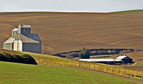 Hoy, el Gobierno y la Sociedad Rural se reúnen por el Inmobiliario Rural