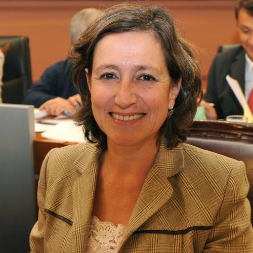 María Emma Bargagna, diputada provincial por el FAP