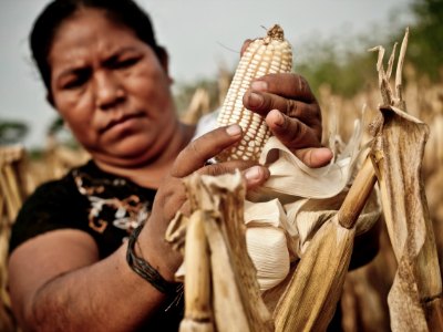 Mujeres Campesinas entrerrianas fueron homenajeadas