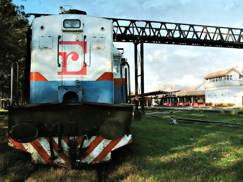 Tren Baso – Concepción: Hein anunció que buscará que haya dos frecuencias diarias