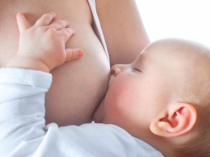 Comienza la Semana de la Lactancia Materna