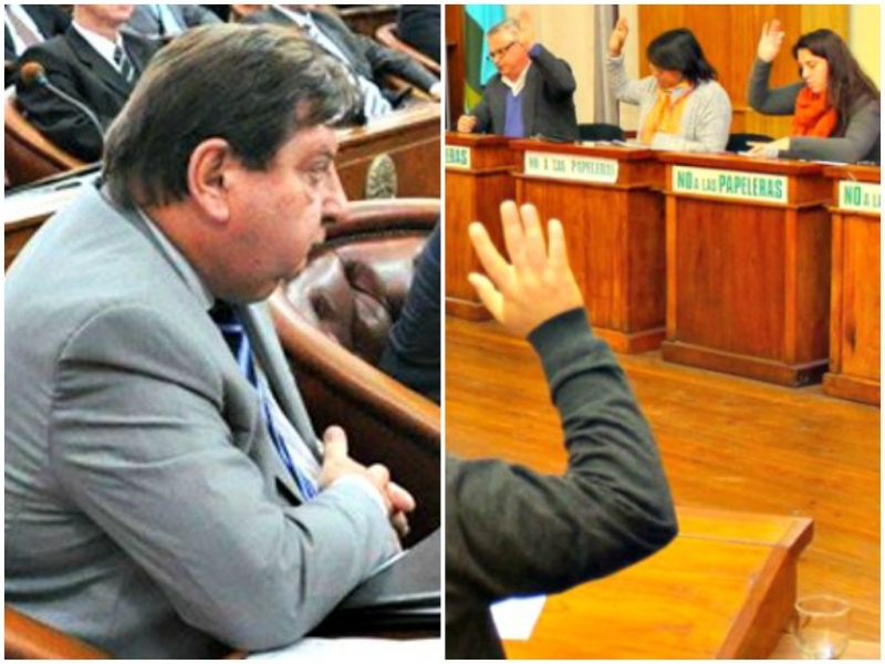 Modificación ley de la Madera: ingresó al Senado y fue rechazada en el Concejo de Gualeguaychú