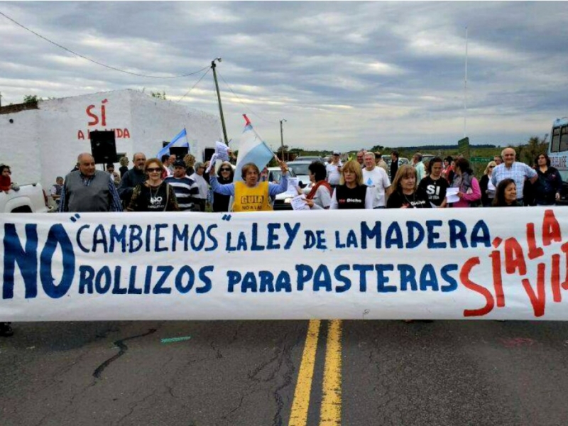 Rechazo a modificar la ley de la Madera: la Asamblea Ambiental de Gualeguaychú volvió a la ruta