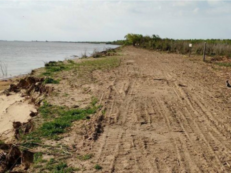 Piden informes sobre desmontes en la zona de Victoria