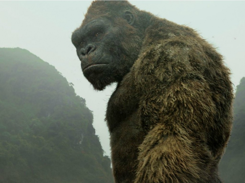 Días de cine: “Kong” y “Logan”